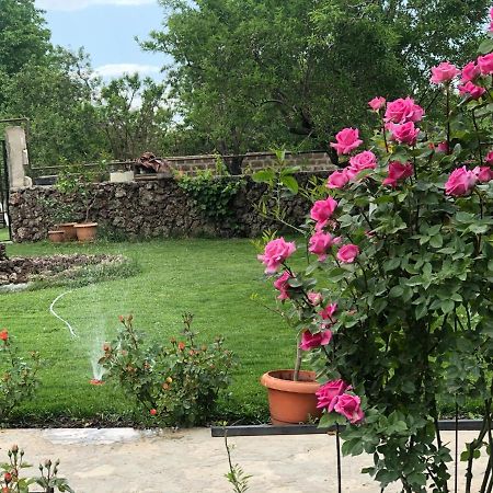 Chez Yvette Bed & Breakfast Garni Exterior photo